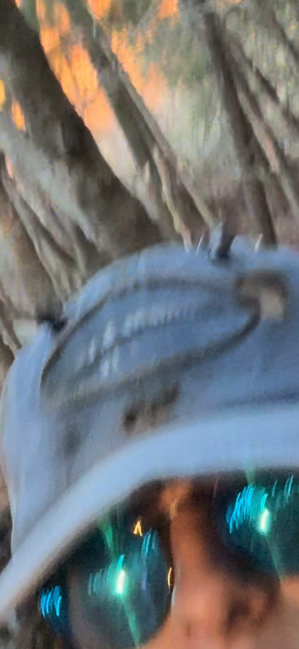 Survivor Hat (𐤌𐤉𐤌)